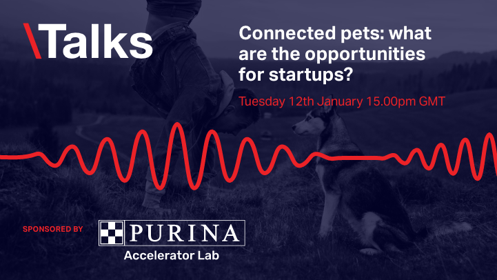 Connected pets: what are the opportunities for startups? image