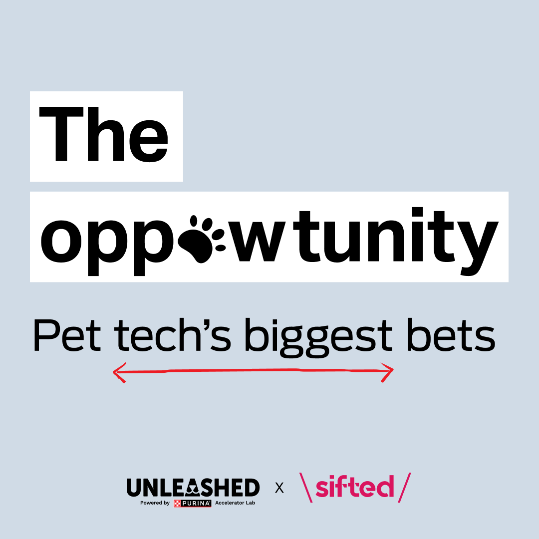 The oppawtunity